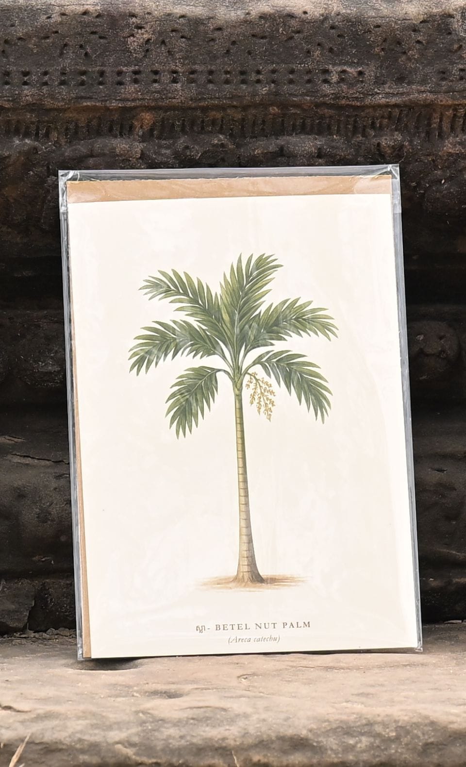 Affiche Palmiers du Cambodge in Palmier royal, handmade in Cambodia (view 7)