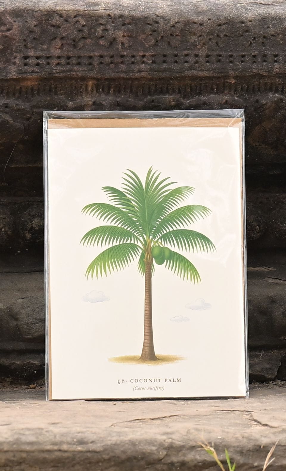 Affiche Palmiers du Cambodge in Palmier royal, handmade in Cambodia (view 5)